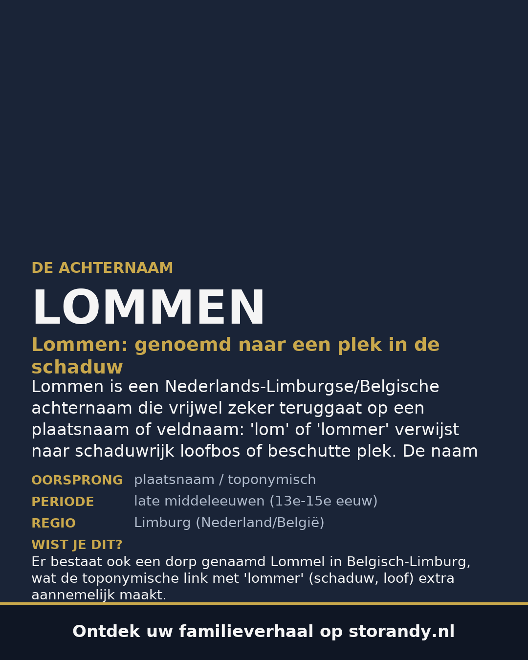 Familiewapen van de achternaam LOMMEN