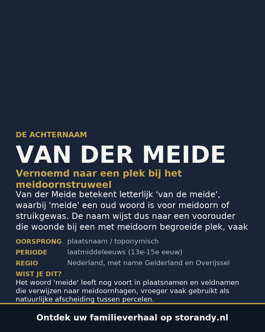 Familiewapen van de achternaam VAN DER MEIDE